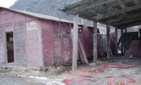 DSC00251