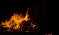 DSC00299