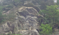 DSC00571