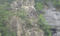 DSC00572