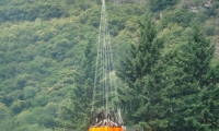 DSC00613