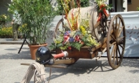 DSC00641