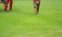 DSC00764