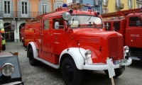 DSC02486