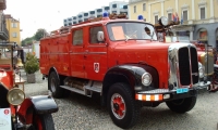 DSC02495