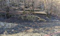 IMG_20200319_165535