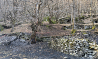 IMG_20200319_165552