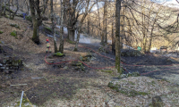 IMG_20200319_165808
